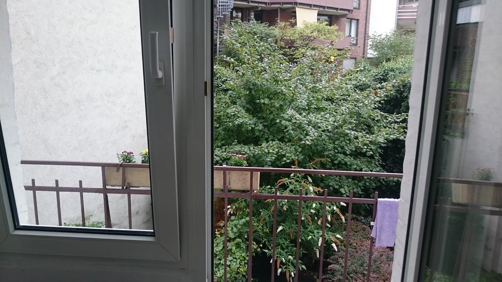 Avi Goodhouse Apartment